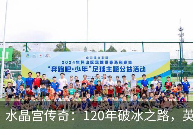 水晶宫传奇：120年破冰之路，英超平民逆袭的启示！